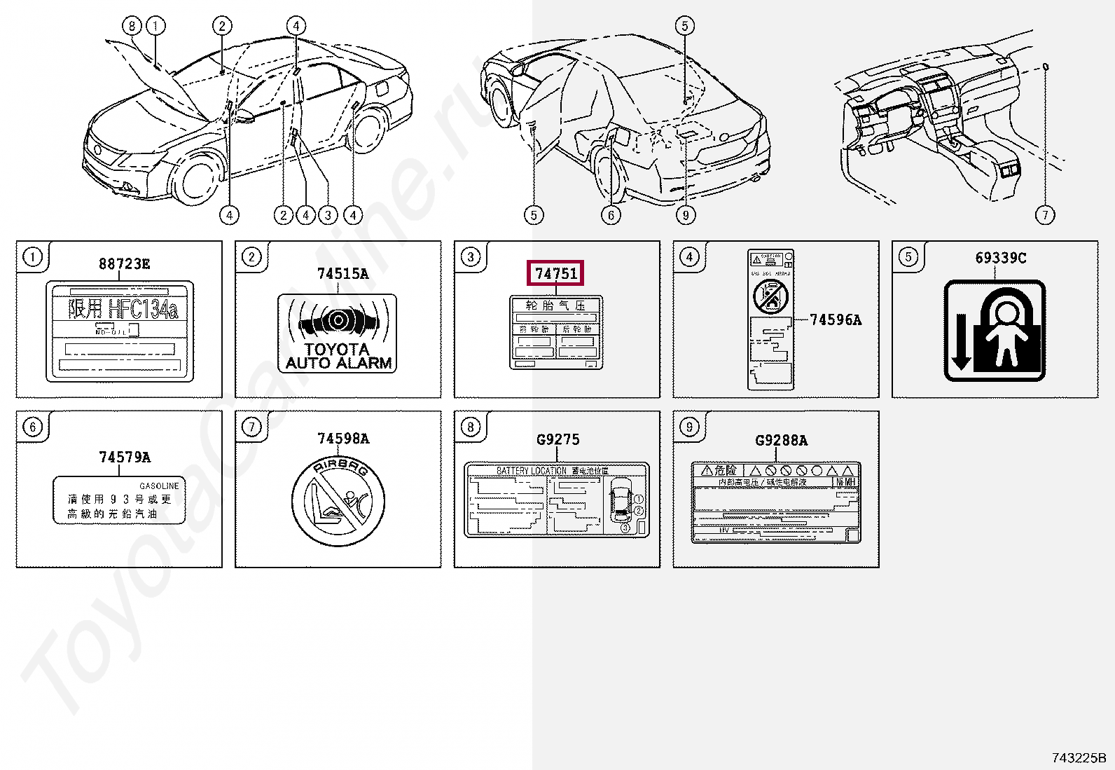 Тойота обозначение. Таблички информационные Тойота Камри acv40. Табличка Camry 50. Табличка Камри avv50. Toyota Camry маркировка кузовов.